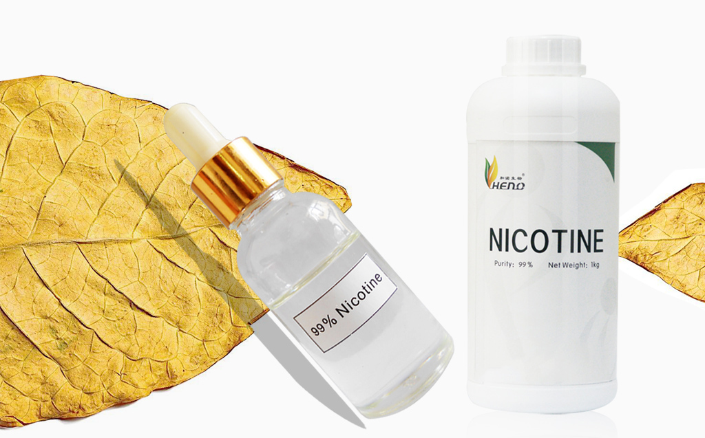 Der Ursprung des Mame