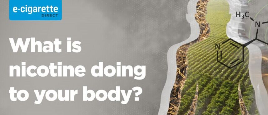 Wie wirkt sich Nikotin auf den Körper aus?
