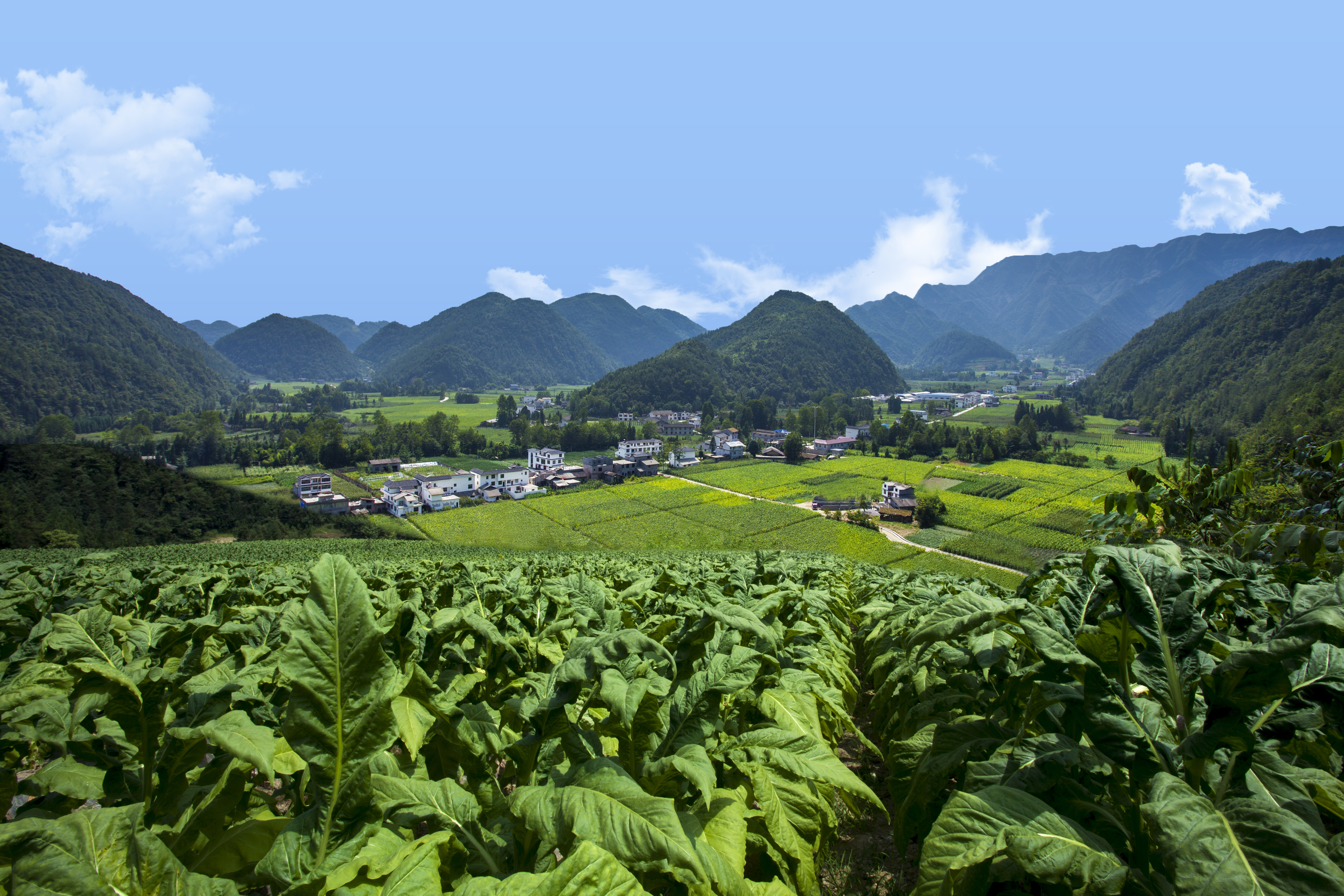 Was ist der Unterschied zwischen Nikotinsalz und gewöhnlichem Rauchöl?