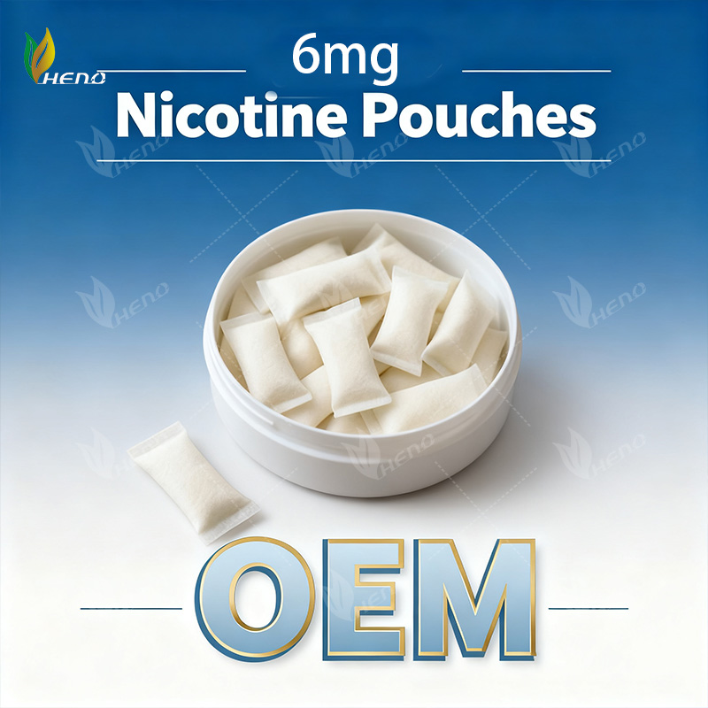 professionelle 6 mg Nikotinbeutel OEM Hersteller