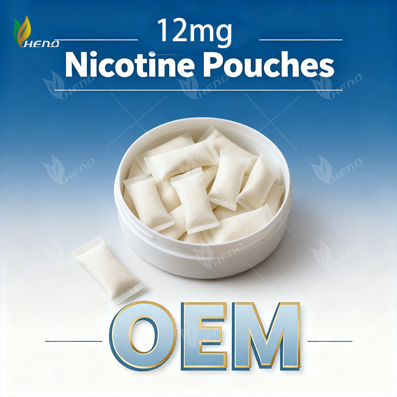 professionelle 12 mg Nikotinbeutel OEM Hersteller