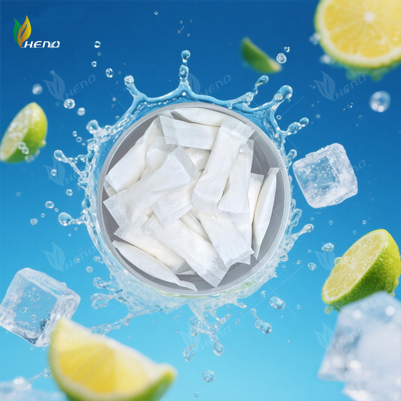 professionelle 3 mg Nikotinbeutel OEM Hersteller