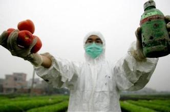 neonicotinoide Pestizide sprühen Wurzeln am besten