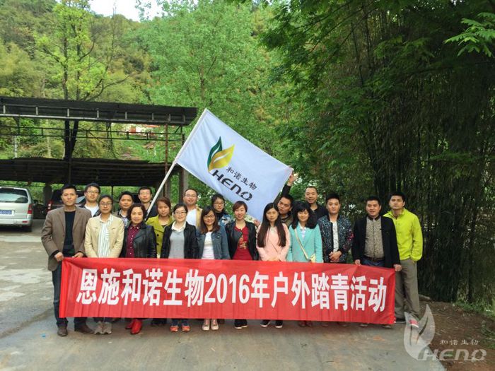 Firmenmitarbeiter bei Outdoor-Aktivitäten