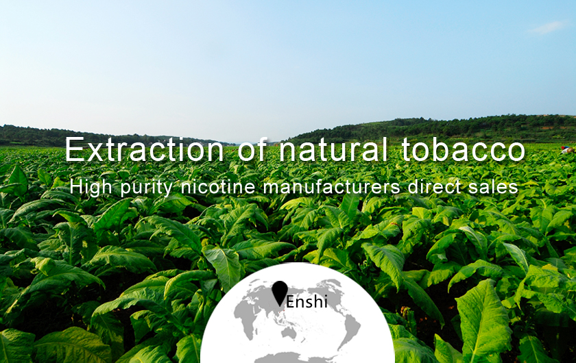 Wissenschaftler wieder Nikotin waschen, es ist nicht der Schuldige der Zigarettensucht!