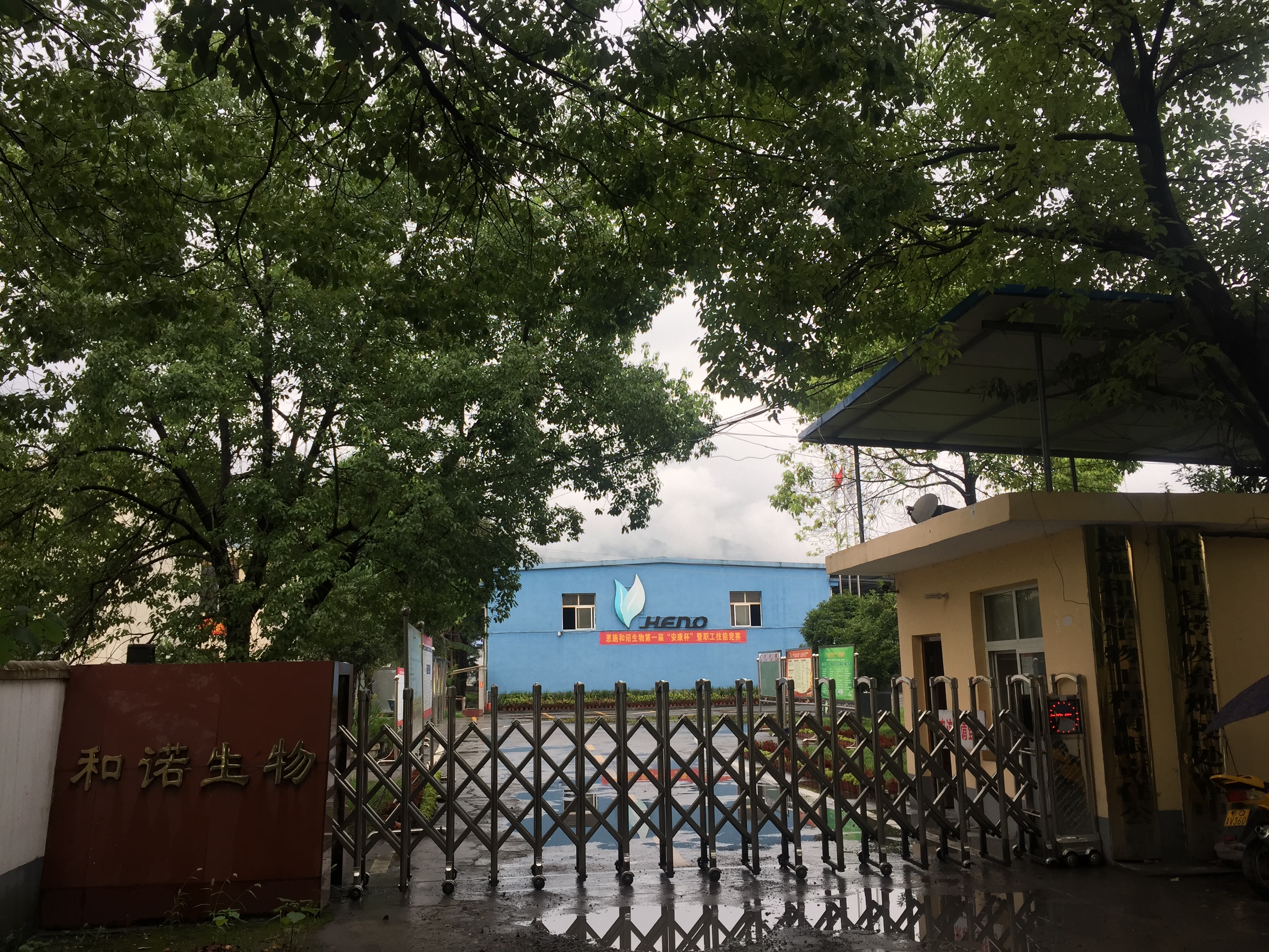 Änderungserklärung Firmenname